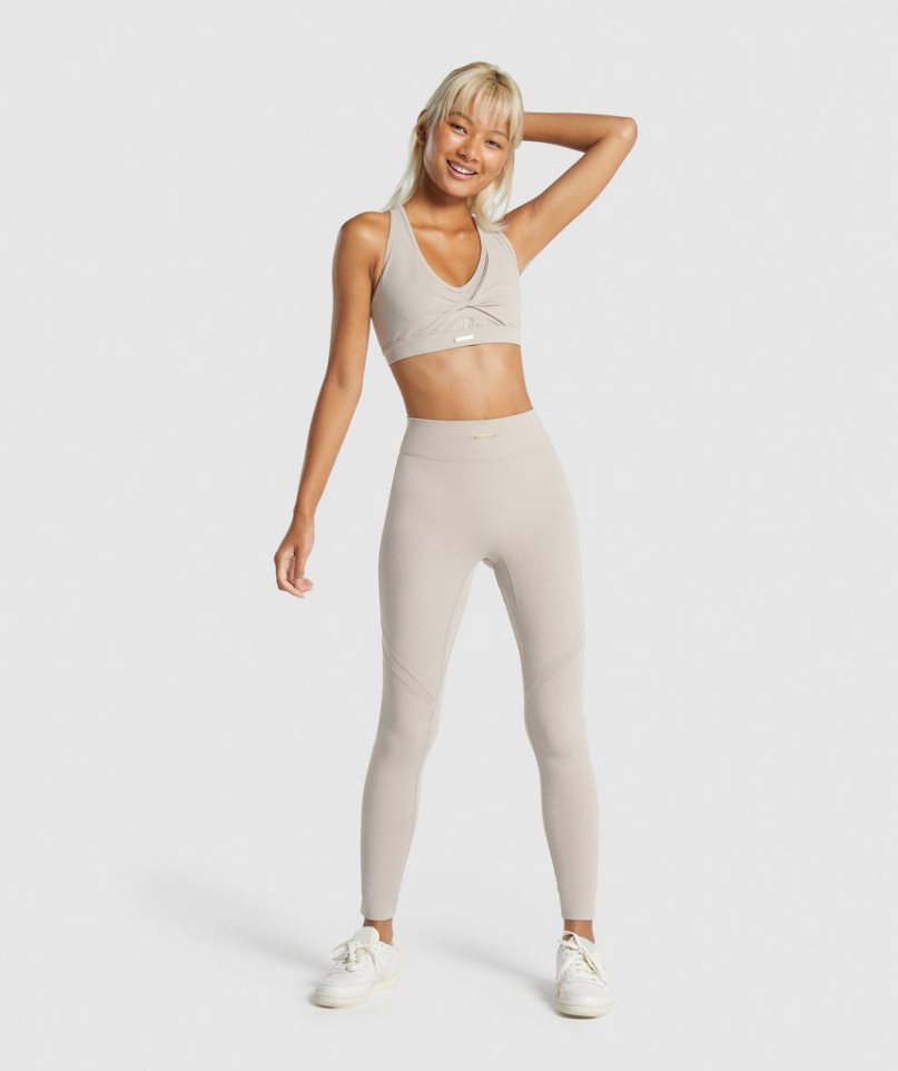 Women's Gymshark Whitney Mesh Leggings Light Grey | CA 380A1D